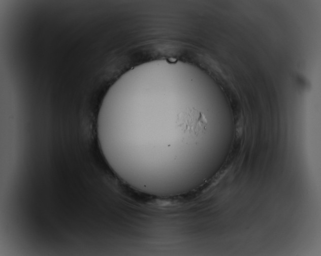 X0000100340464200806191028