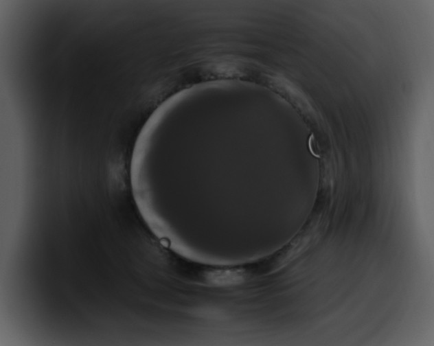 X0000100340465200806191028