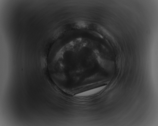 X0000100340467200806191028