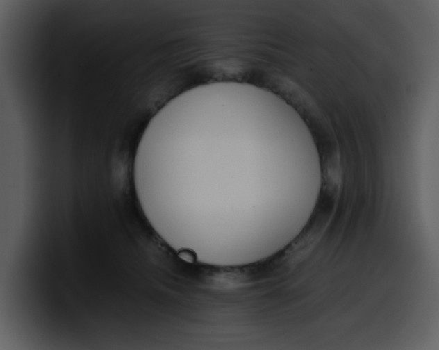 X0000100340468200806191028