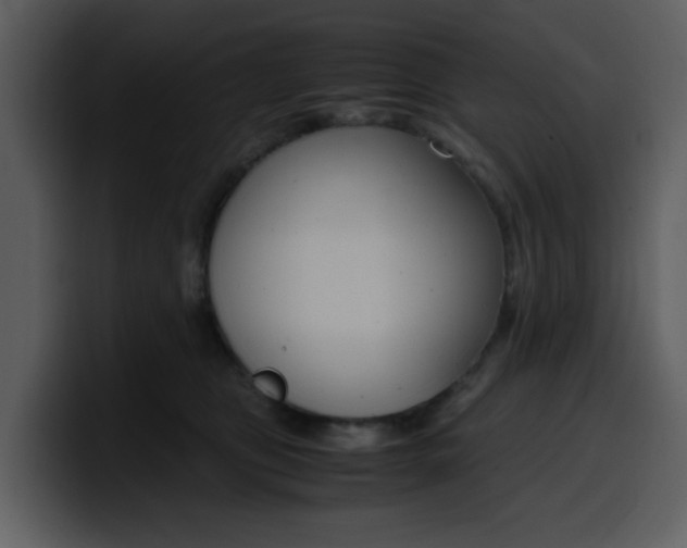 X0000100340469200806191028