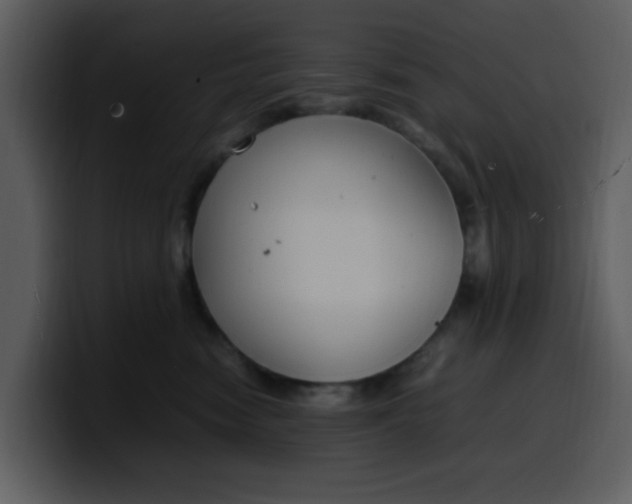 X0000100340474200806191028