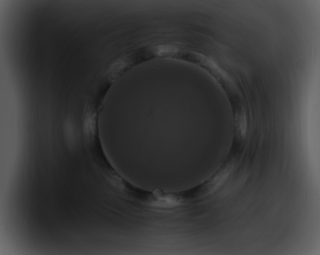 X0000100340475200806191028