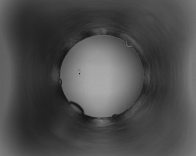 X0000100340477200806191028