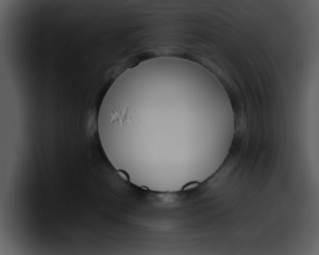 X0000100340478200806191028