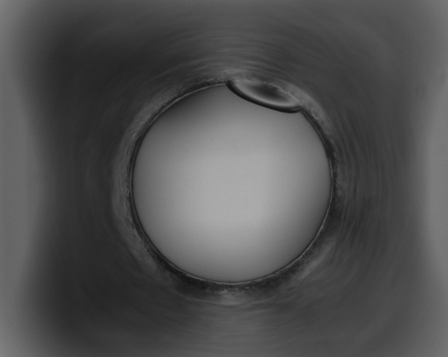 X0000100340481200806191027