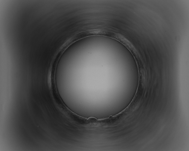 X0000100340482200806191027