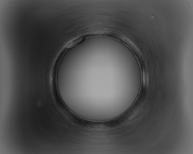 X0000100340483200806191027