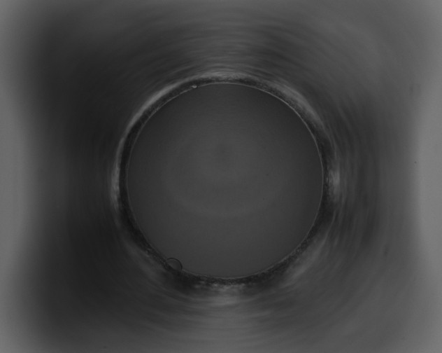 X0000100340484200806191027