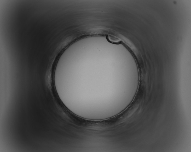 X0000100340485200806191027