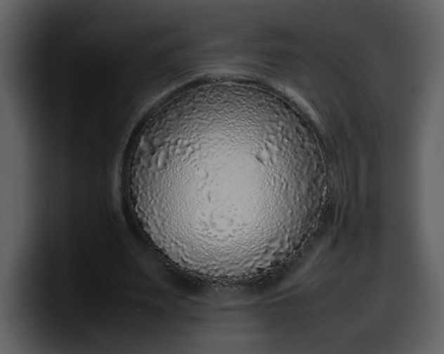 X0000100340487200806191027