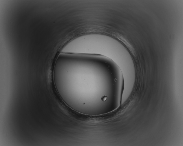 X0000100340489200806191027