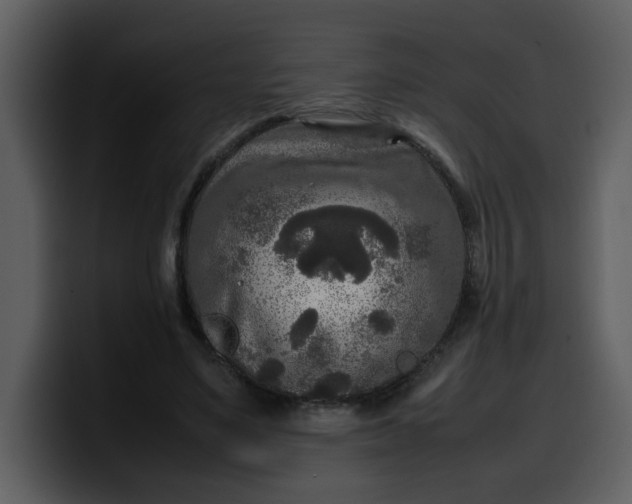 X0000100340491200806191027