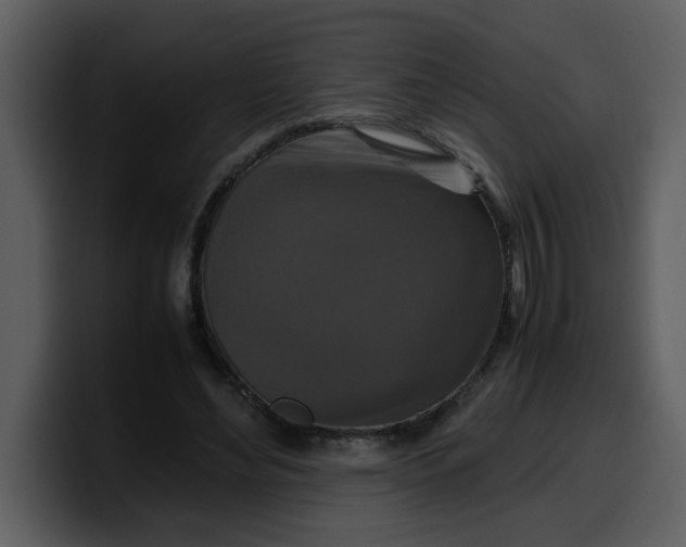 X0000100340492200806191027