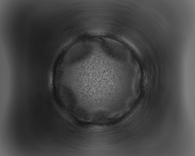 X0000100340494200806191027