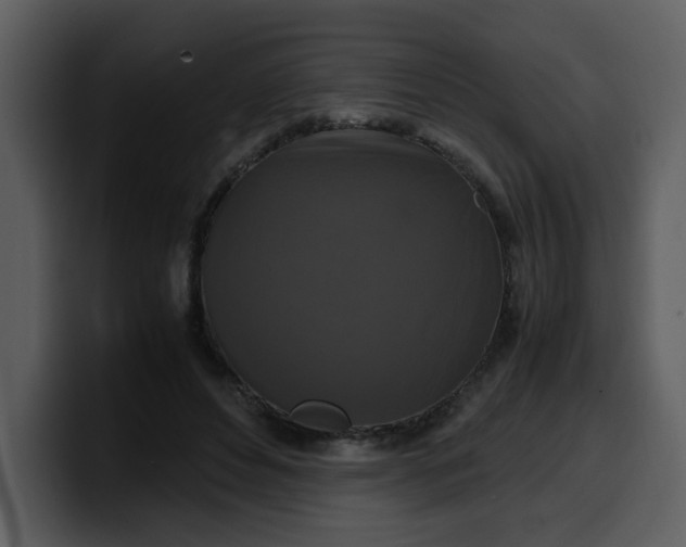 X0000100340496200806191027