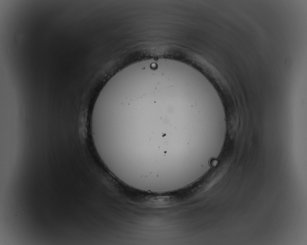 X0000100340497200806191027