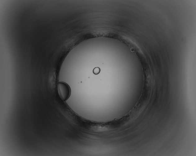 X0000100340498200806191027