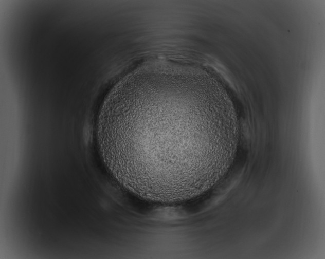 X0000100340499200806191027