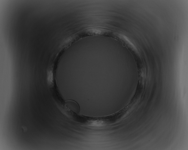 X0000100340500200806191027