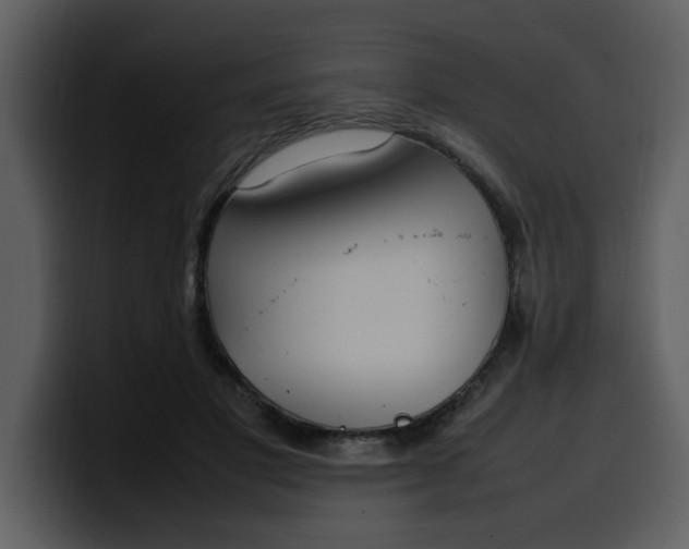 X0000100340501200806191027