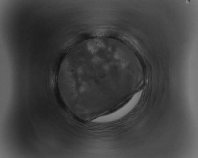 X0000100340503200806191027