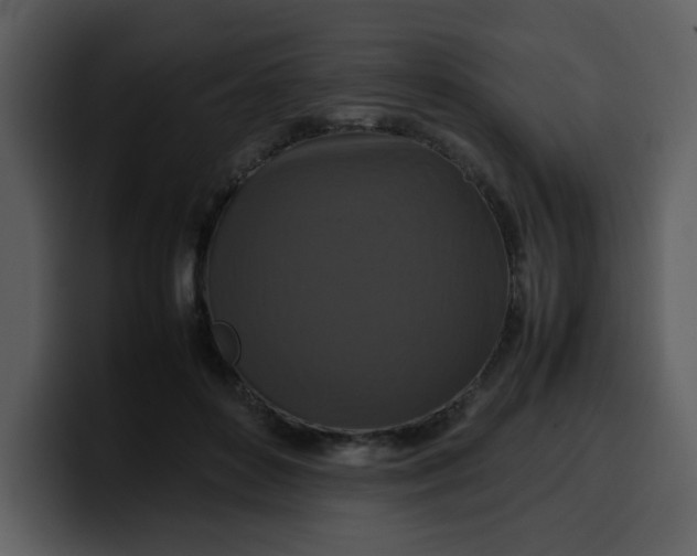 X0000100340504200806191027