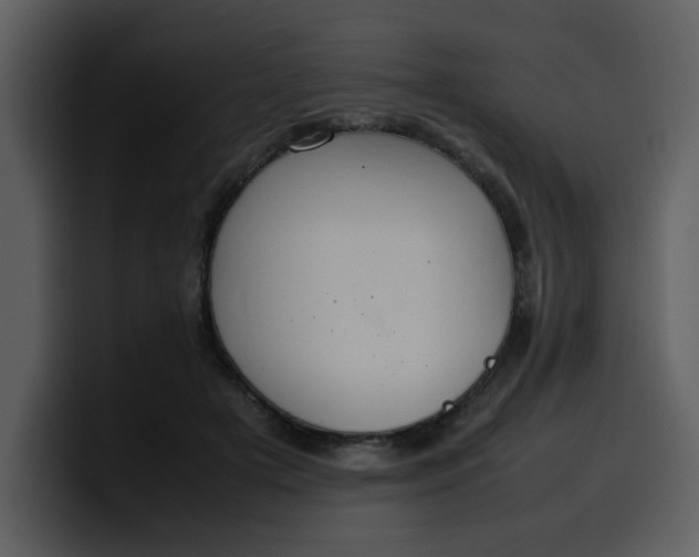 X0000100340505200806191027