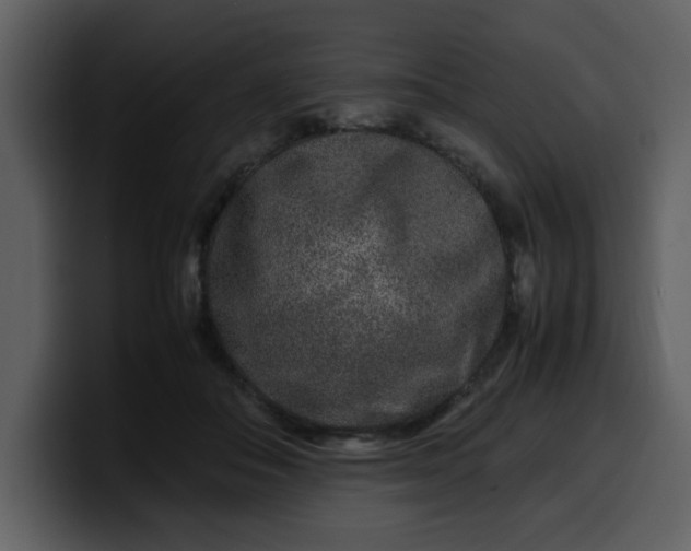 X0000100340506200806191027