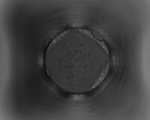 X0000100340508200806191027