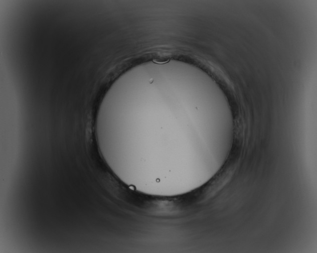 X0000100340509200806191027