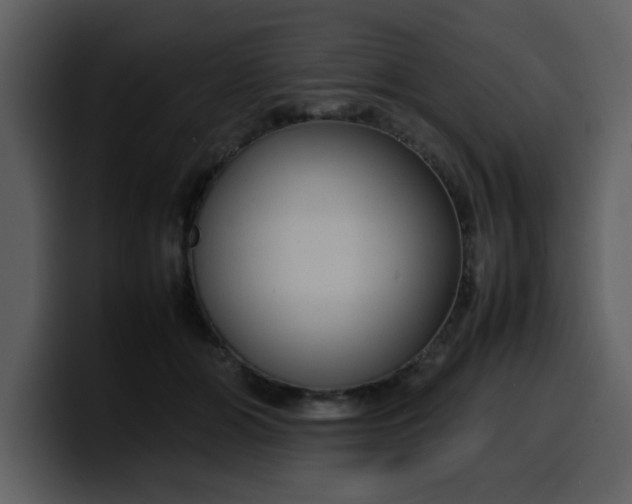 X0000100340510200806191027