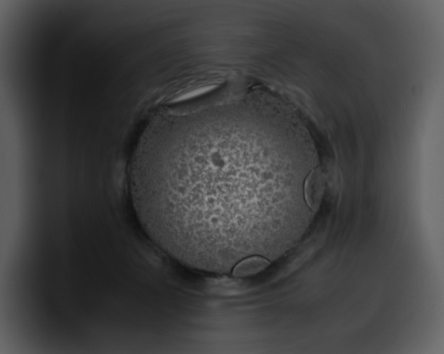 X0000100340511200806191027