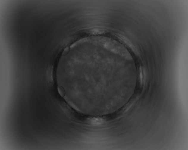 X0000100340512200806191027