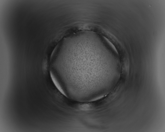 X0000100340513200806191027