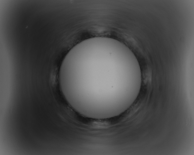 X0000100340515200806191027