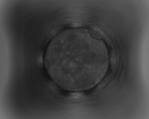 X0000100340516200806191027