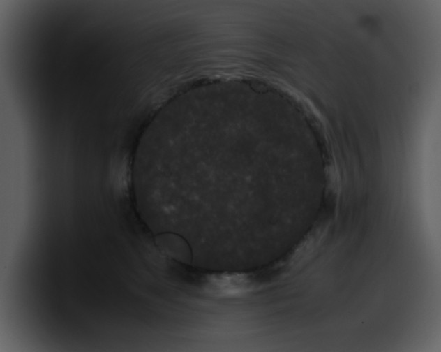 X0000100340517200806191027