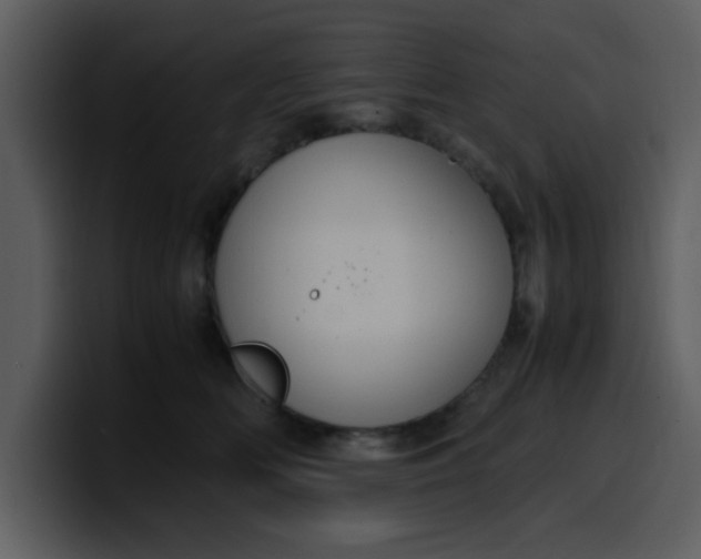 X0000100340518200806191027