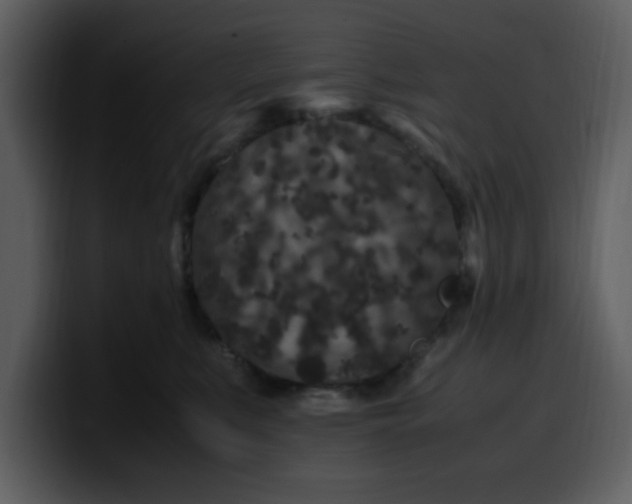 X0000100340519200806191027