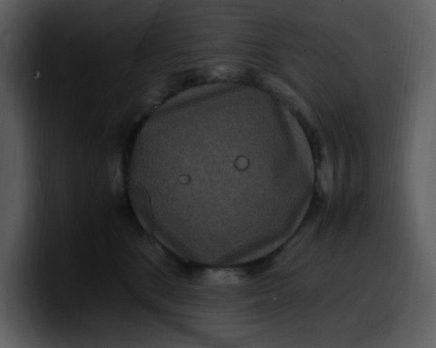 X0000100340520200806191027