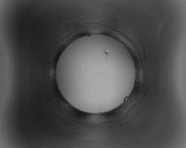 X0000100340521200806191027