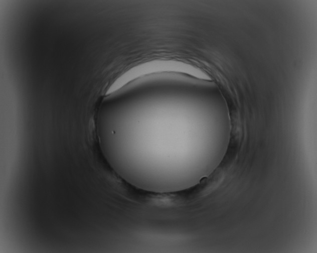 X0000100340523200806191027