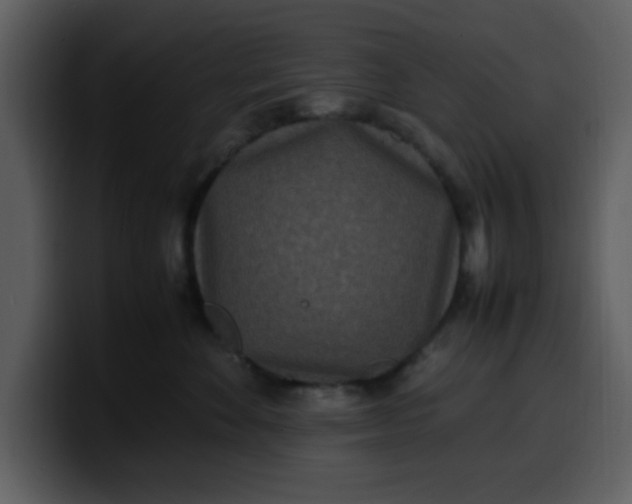 X0000100340524200806191027