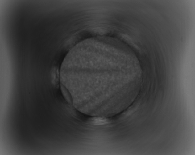 X0000100340528200806191027