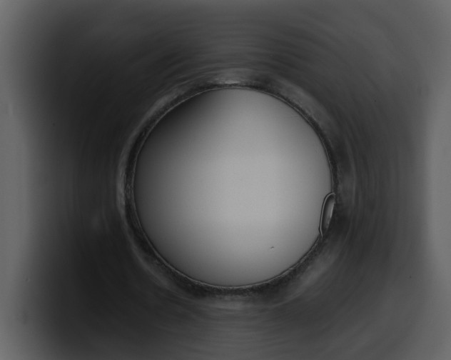 X0000100340530200806191026