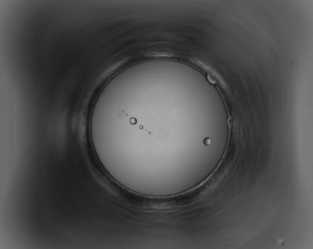 X0000100340533200806191026