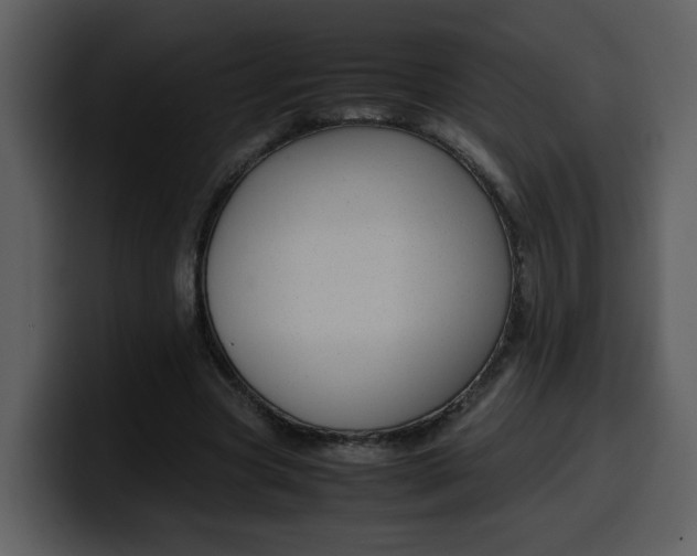 X0000100340537200806191026