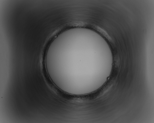 X0000100340538200806191026