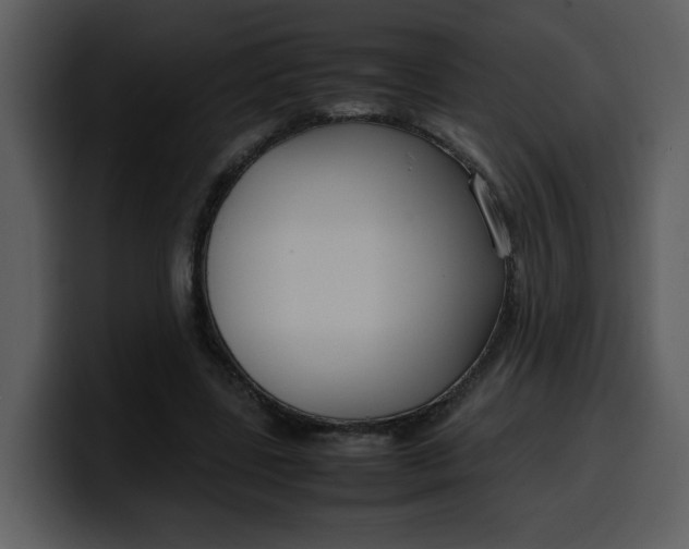 X0000100340539200806191026